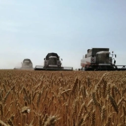 Аватар канала «Минсельхоз Башкортостана»