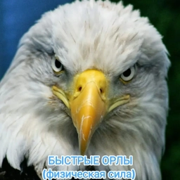 Аватар канала «БЫСТРЫЕ ОРЛЫ (физическая сила) Уфа Рабочие»