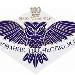 Аватар канала «МАОУ "Лицей №21" г. Уфа»