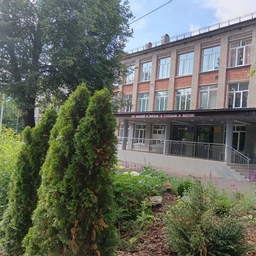 Аватар канала «Информационный канал МАОУ "Лицей № 96"»