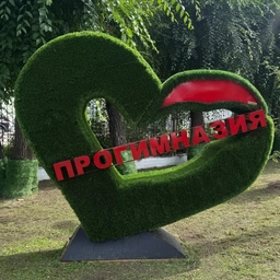 Аватар канала «МАОУ "Прогимназия г. Благовещенска"»