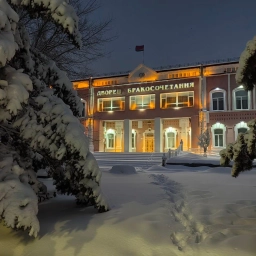 Аватар канала «Управление ЗАГС Амурской области»