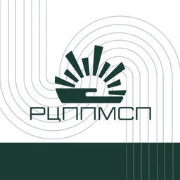 Аватар канала «ГАУ РЦППМСП Амурской области»