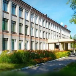 Аватар канала «Пульс гимназии ( МОАУГ №8 г.Райчихинск, Амурская область)»