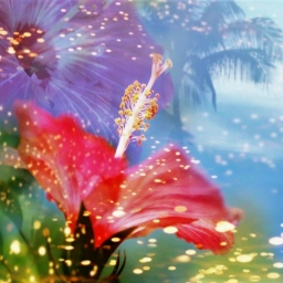 Аватар канала «МДОАУ д/с № 10 г. Свободного»