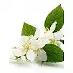 Аватар канала «Детский сад №6 "Черёмушка" г.Тынды»