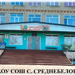 Аватар канала «МАОУ СОШ С.СРЕДНЕБЕЛОЕ»