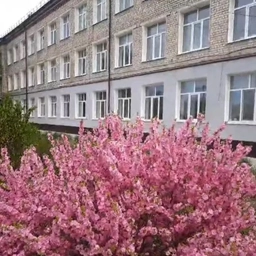 Аватар канала «МОБУ СОШ №1 с. Ивановка»