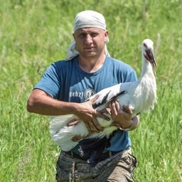 Аватар канала «🐦 Птицы Амура 🐦»