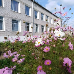 Аватар канала «МБОУ СОШ ж.д.ст.БАМ»