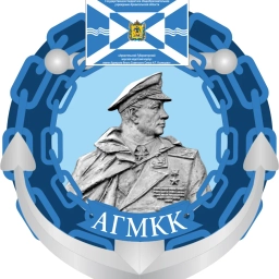 Аватар канала «ГБОУ АО «АГМКК»»