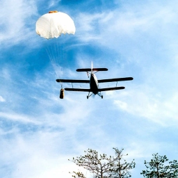 Аватар канала «Единый лесопожарный центр | Архангельск🌲»