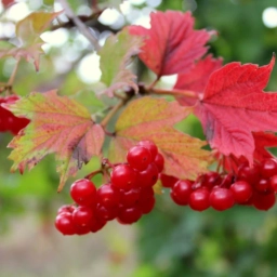 Аватар канала «МБДОУ № 46 "Калинка"»