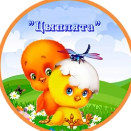 Аватар канала «Детский сад "Цыплята" город Северодвинск»