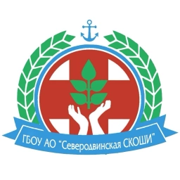 Аватар канала «ГБОУ АО "Северодвинская СКОШИ"»