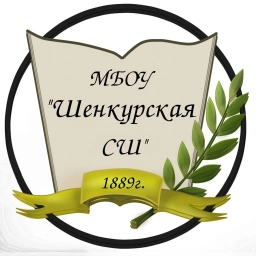 Аватар канала «МБОУ "Шенкурская СШ"»
