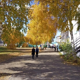 Аватар канала «МБОУ "Бичурская СОШ № 3"»