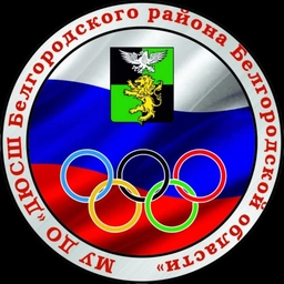 Аватар канала «ДЮСШ Белгородского муниципального округа»