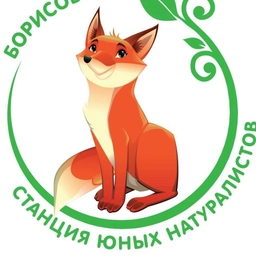 Аватар канала «МБУ ДО "Борисовская СЮН"»