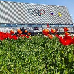 Аватар канала «МБУ ДО "Волоконовская ДЮСШ"»