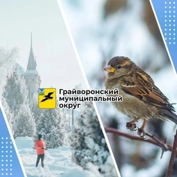 Аватар канала «Администрация Грайворонского округа»