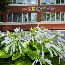 Аватар канала «МБДОУ "Детский сад №1 "Сказка" г.Короча»