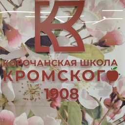 Аватар канала «МБОУ Корочанская СОШ им. Д. К. Кромского»