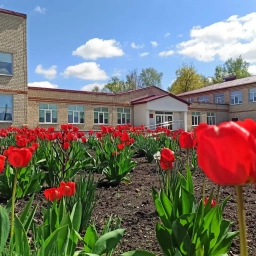 Аватар канала «МБОУ "Палатовская СОШ"»