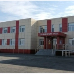 Аватар канала «МБОУ "Голубинская СОШ"»