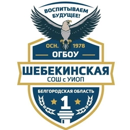 Аватар канала «ОГБОУ «Шебекинская СОШ с УИОП»»