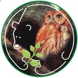 Аватар канала «МБУ ДО "СЮН" г. Алексеевка»