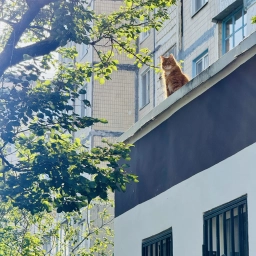 Аватар канала «УК «РУСЬ»»