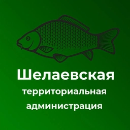 Аватар канала «Шелаевская территориальная администрация»