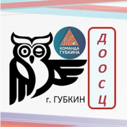 Аватар канала «Детский спортивный центр (ДООСЦ)»