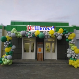 Аватар канала «НеШкольный канал ✨»