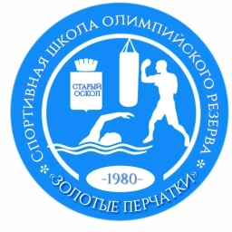 Аватар канала «МАУ ДО СШОР "Золотые перчатки"»