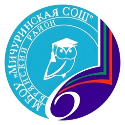 Аватар канала «Мичуринская СОШ | Учимся вместе»