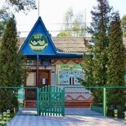 Аватар канала «МБУ ДО Жуковский ЦДТ»