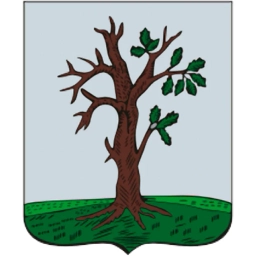 Аватар канала «Стародубский муниципальный округ»