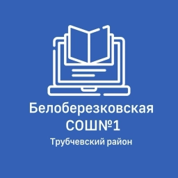 Аватар канала «МБОУ Белоберезковская СОШ №1»