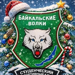 Аватар канала «ССК "Байкальские волки" | ЦРМСС»