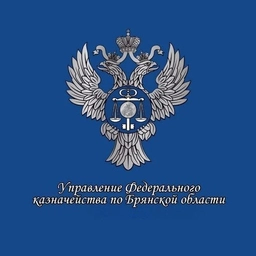 Аватар канала «УФК по Брянской области»