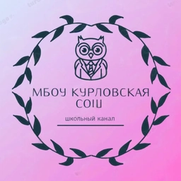 Аватар канала «МБОУ "Курловская СОШ"»