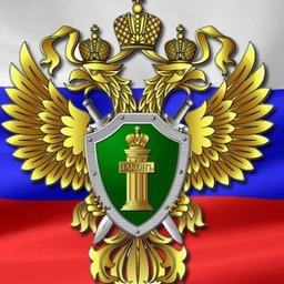 Аватар канала «ПРОКУРАТУРА ВЛАДИМИРСКОЙ ОБЛАСТИ»