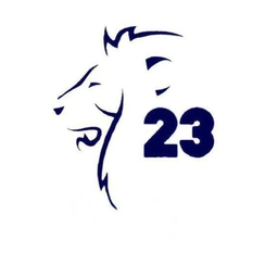 Аватар канала «Гимназия 23 Владимир»