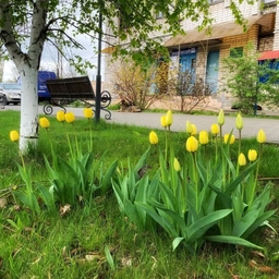 Аватар канала «Администрация Новонадеждинского сельского поселения Городищенского муниципального района Волгоградской области»