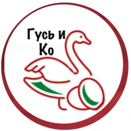 Аватар канала «ИНКУБАЦИОННОЕ ЯЙЦО ГУСЬ И КО»