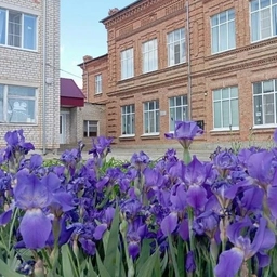 Аватар канала «МКОУ,, Царевская СОШ "»