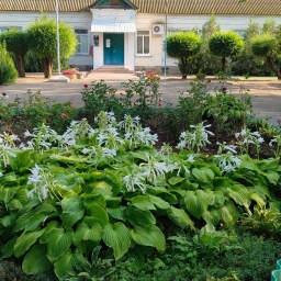 Аватар канала «Канал Покровская СОШ»