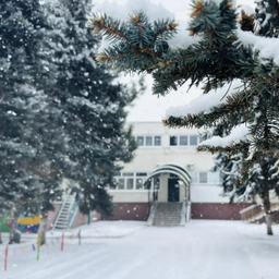 Аватар канала «МДОУ ДС Ёлочка г.Краснослободска»